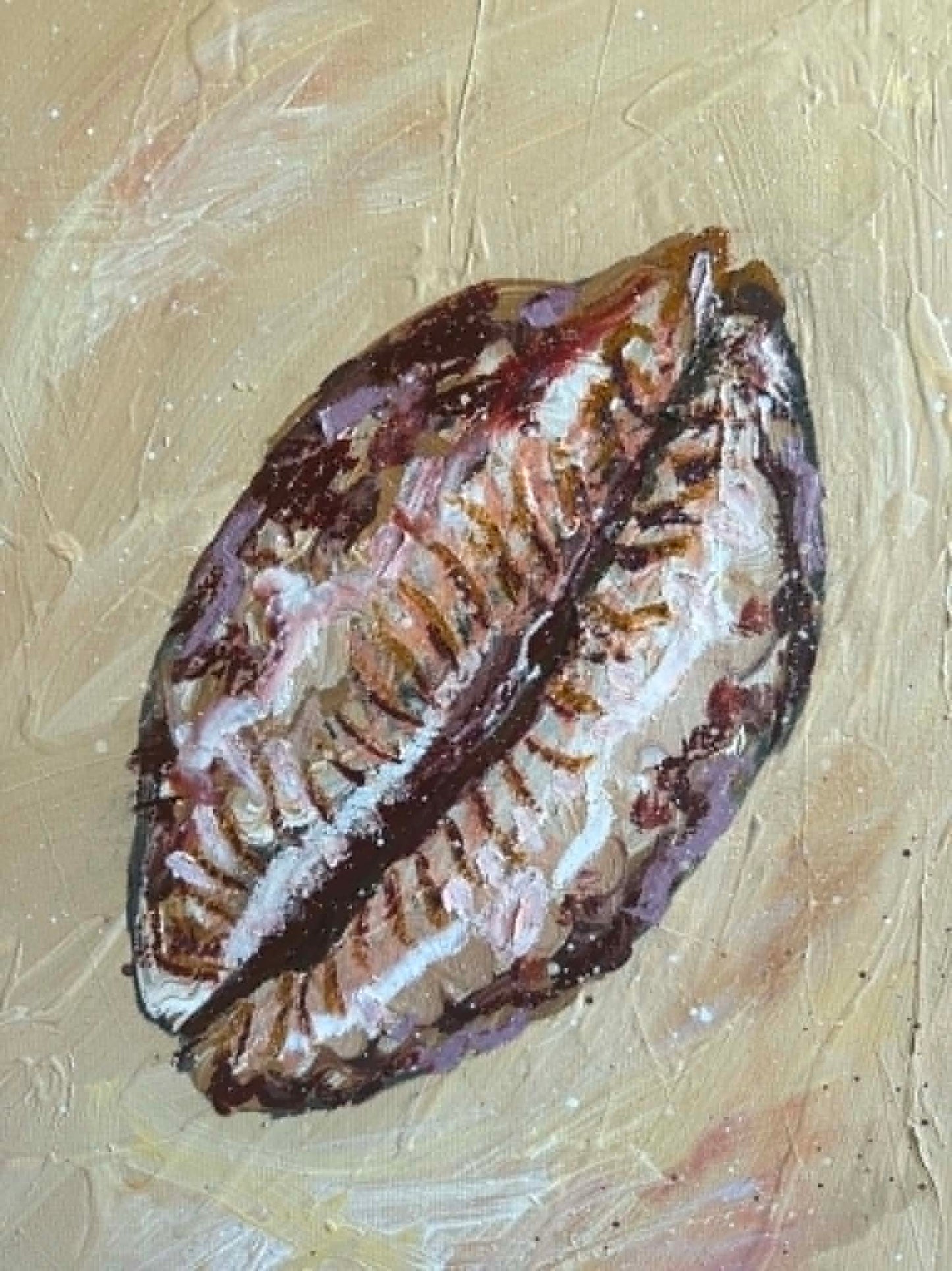 Cowrie Print